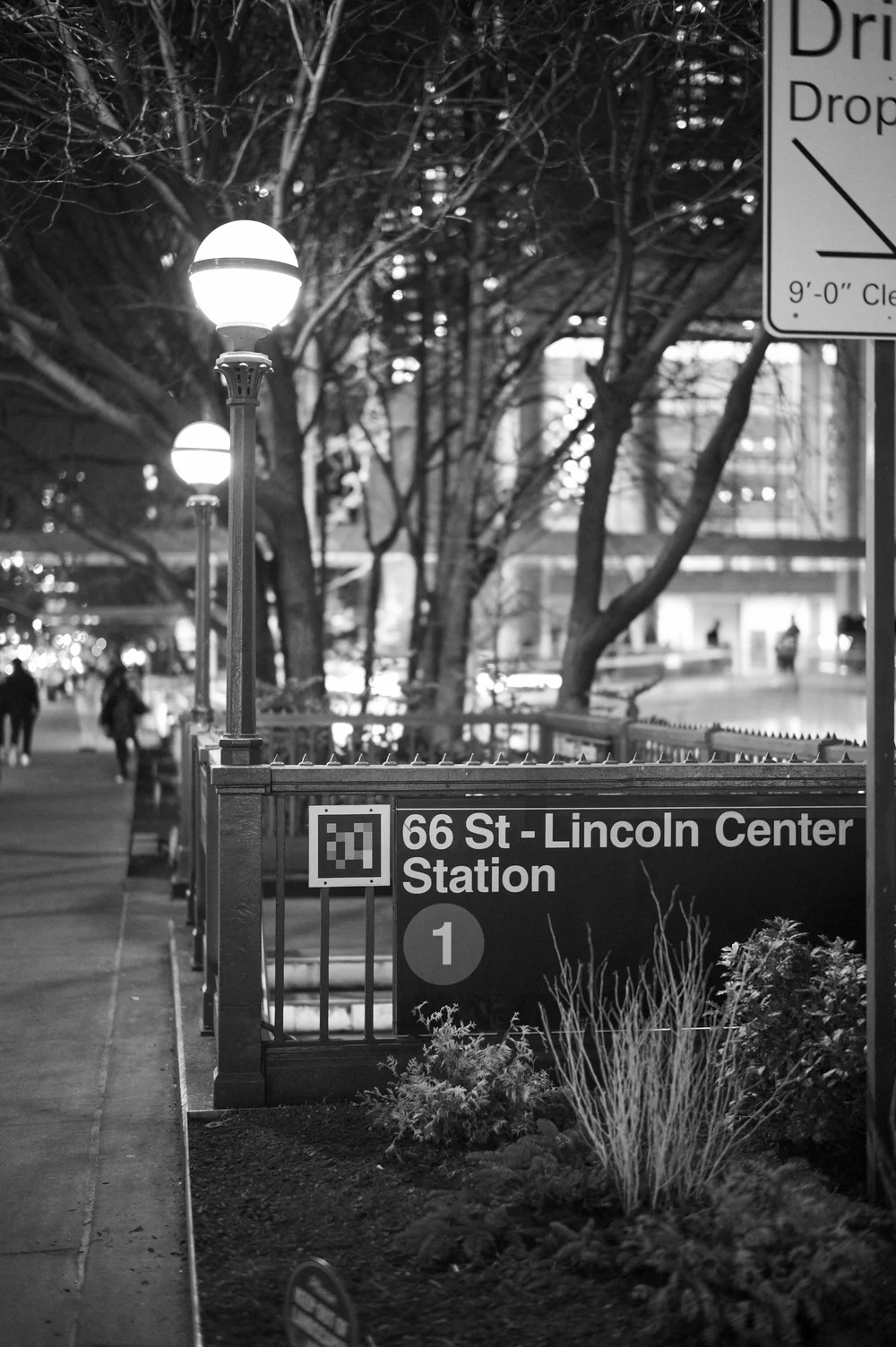 L1005276.jpg