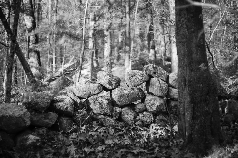 L1004904.jpg