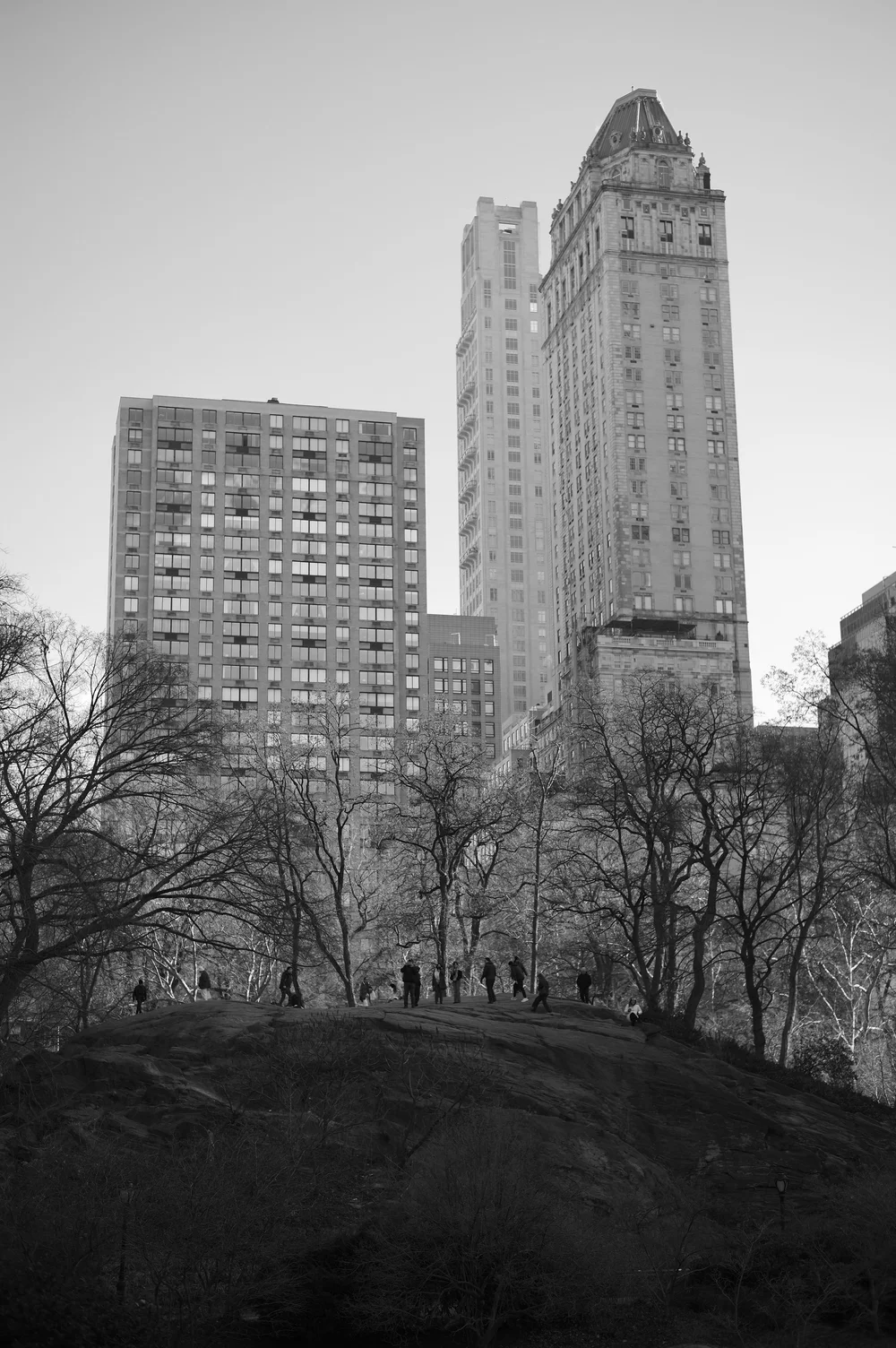 L1005071.jpg