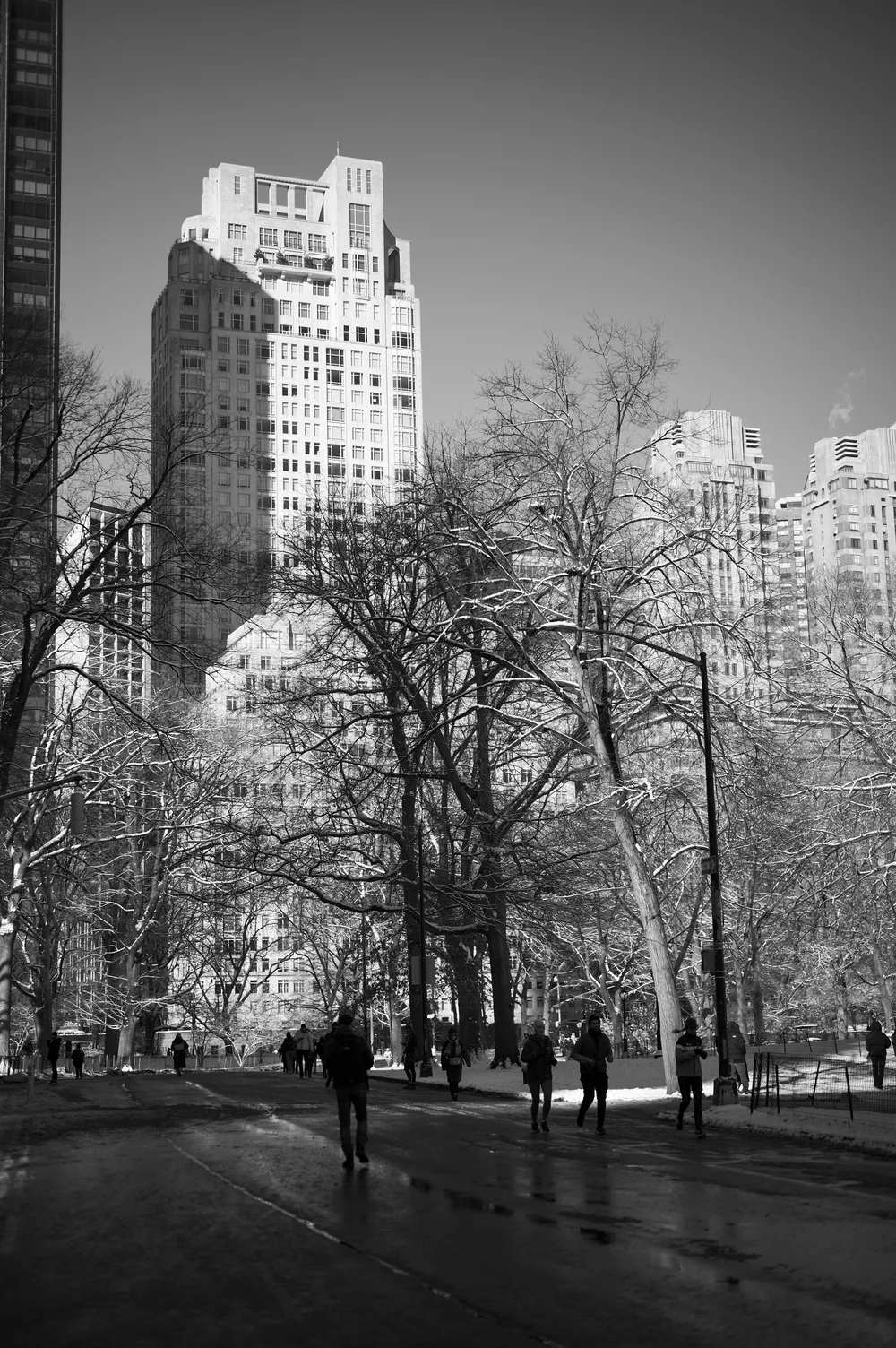 L1005520.jpg
