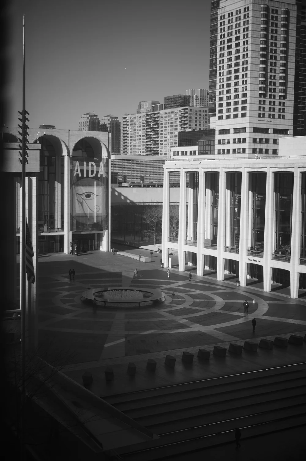 L1005030.jpg