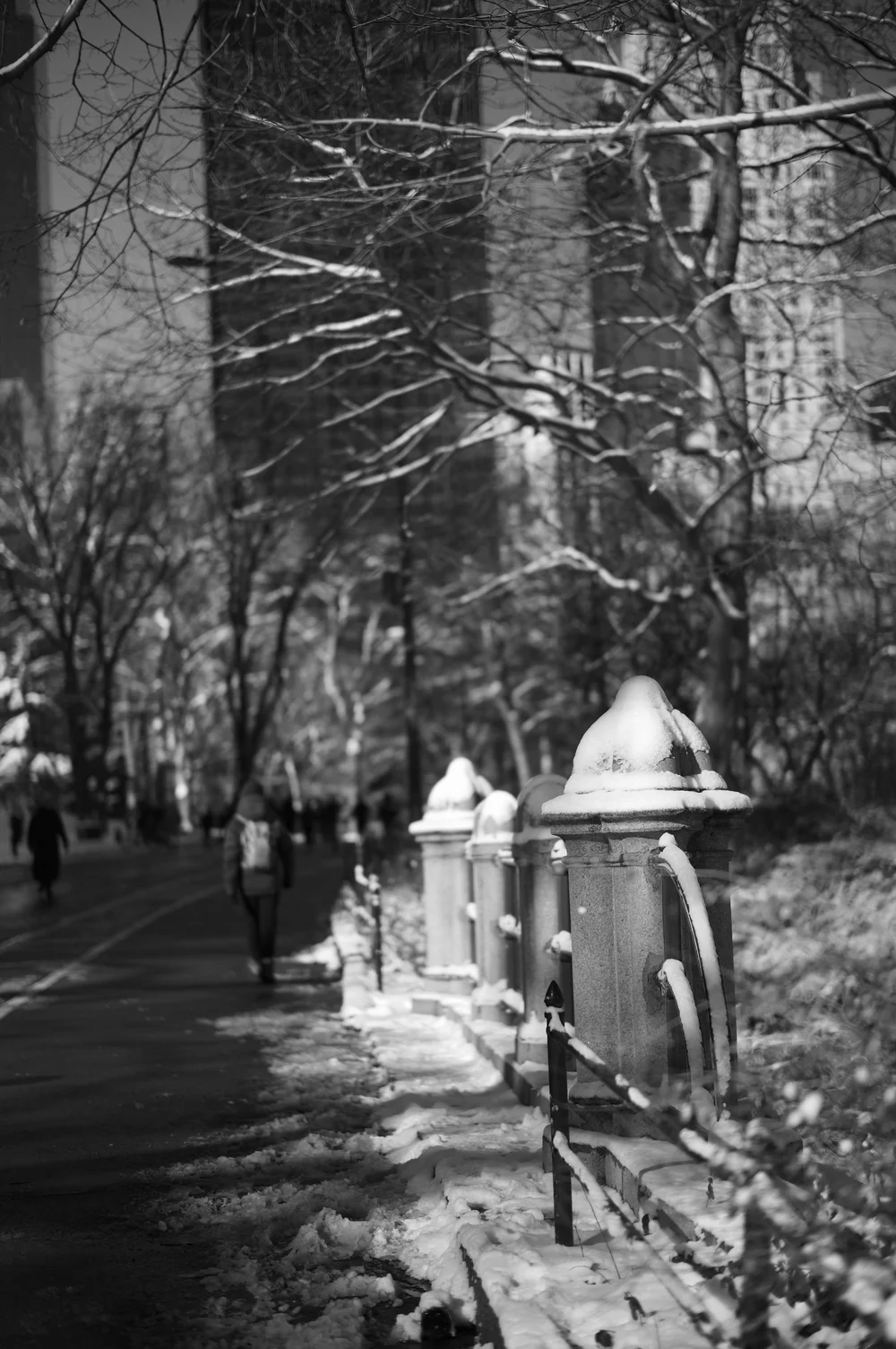 L1005524.jpg