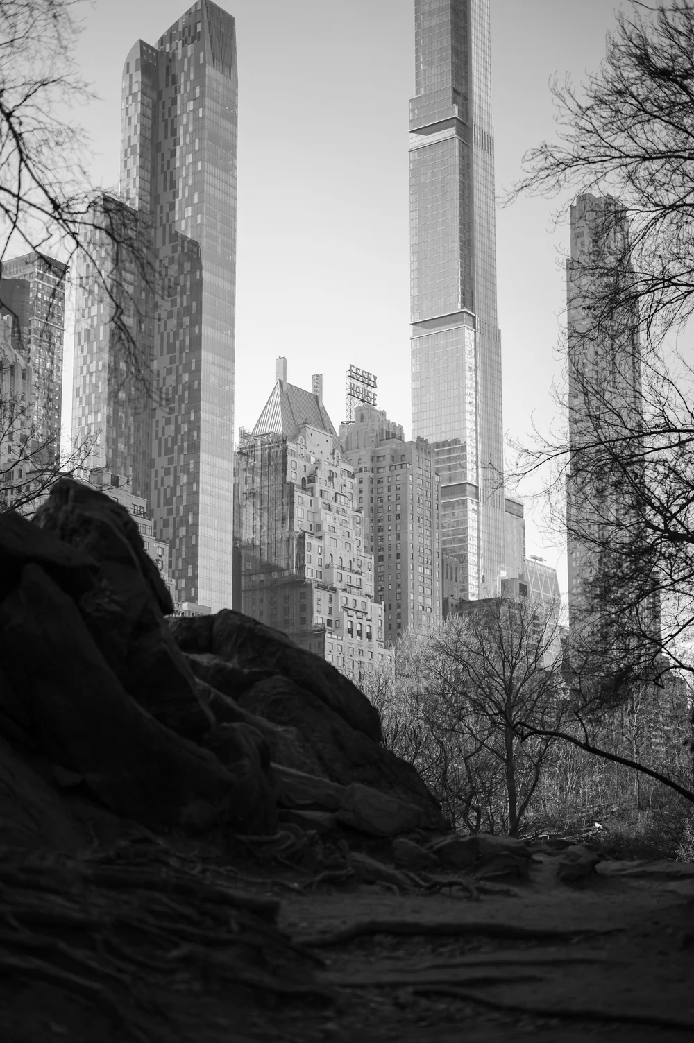 L1005079.jpg