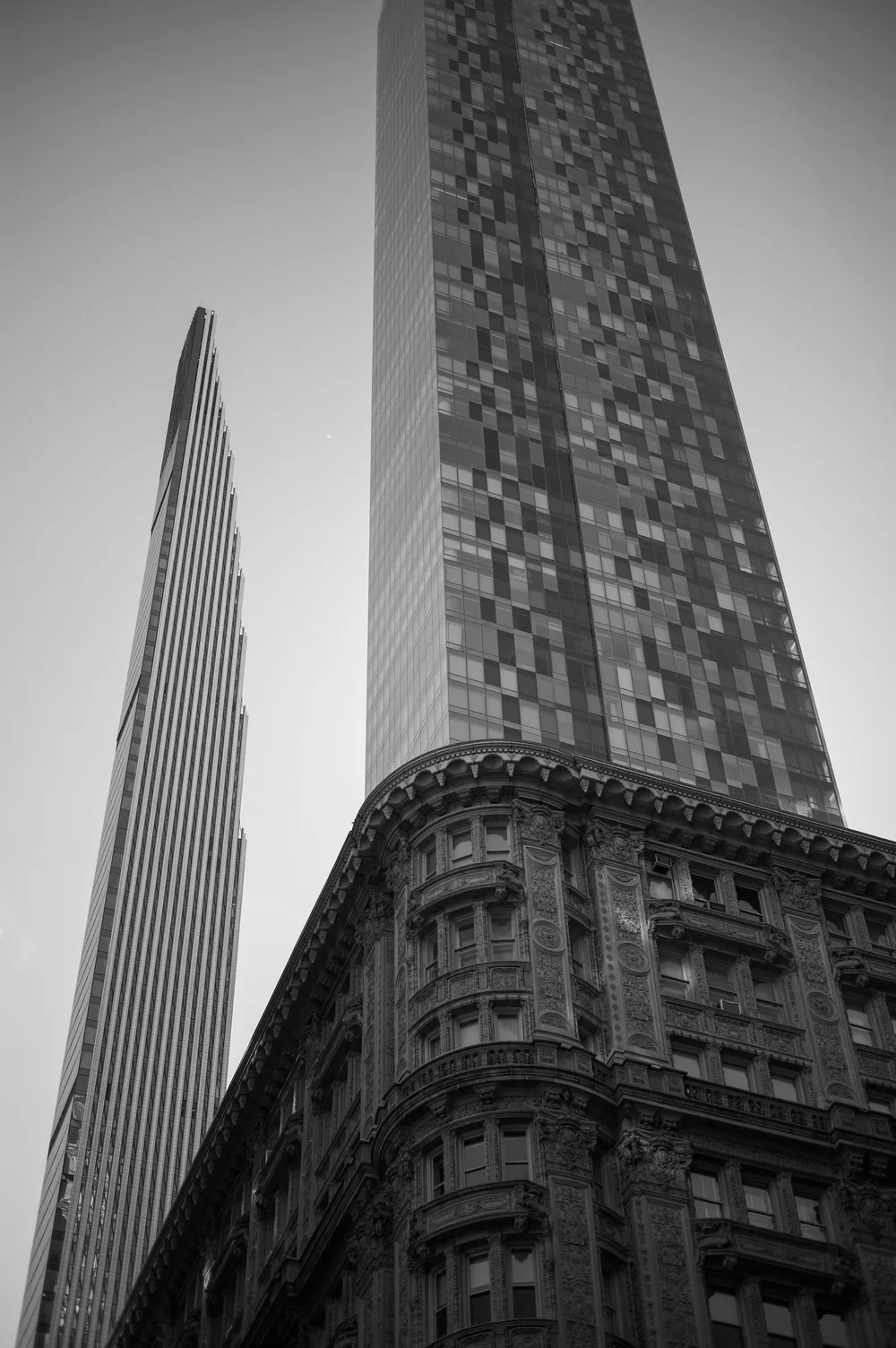 L1005514.jpg