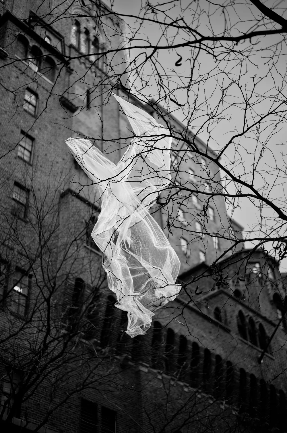 L1005047 (DNG).jpg