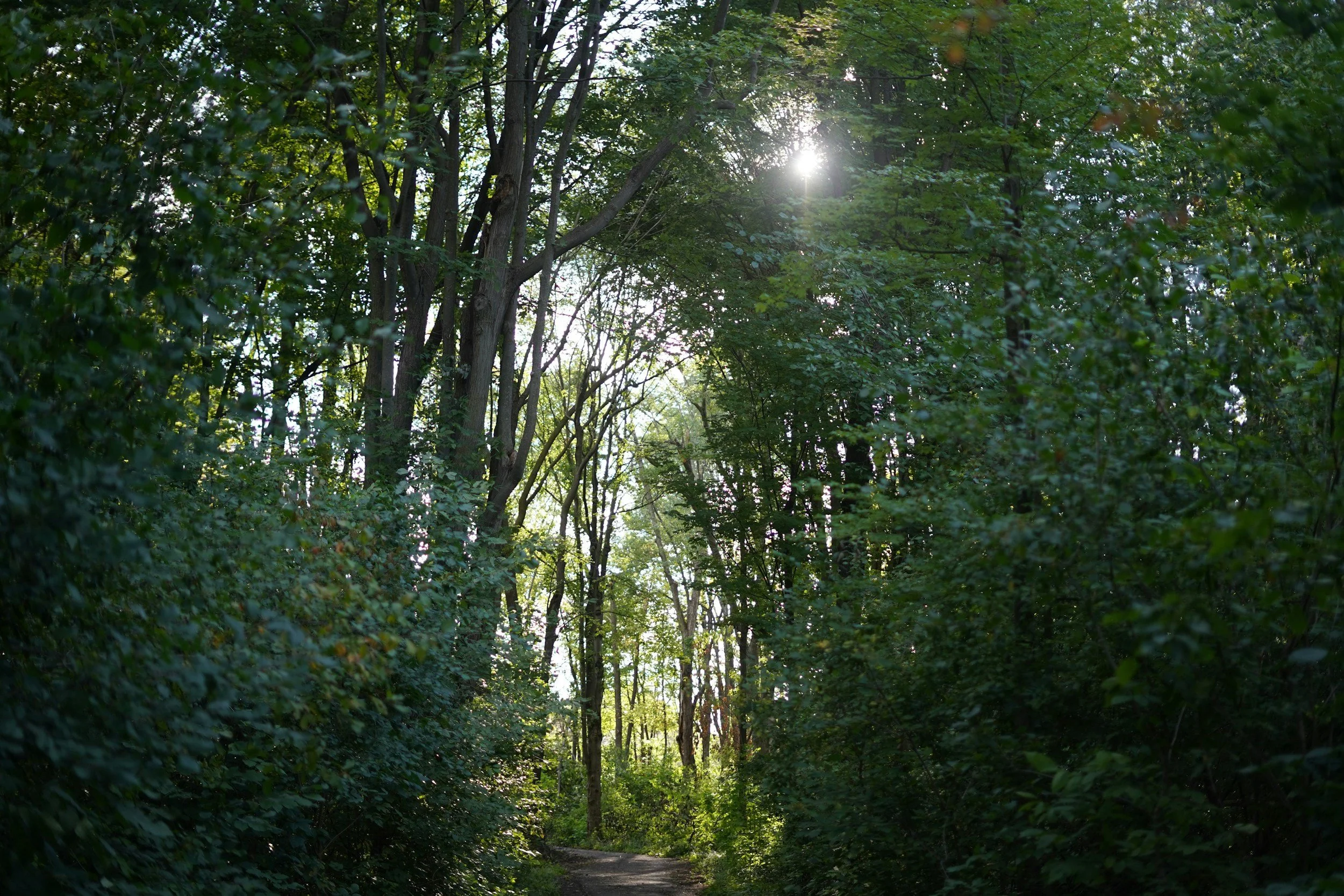 To Move Forward, You May Need to Think Backward