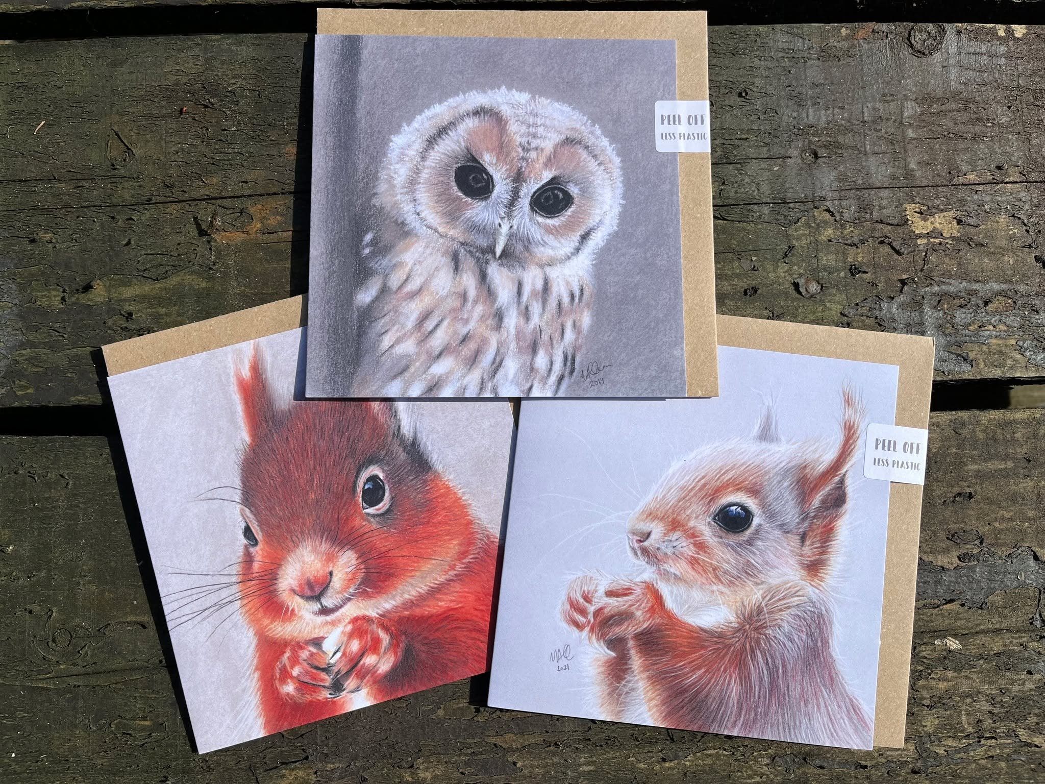🦋 MANDY ALLAN 🦉

We&rsquo;re thrilled to welcome @mandyallandrawing and their beautiful products to StArt Shop &amp; Gallery! 🎉

Their amazing range includes greetings cards, limited edition prints and original artworks, all inspired by wildlife. 
