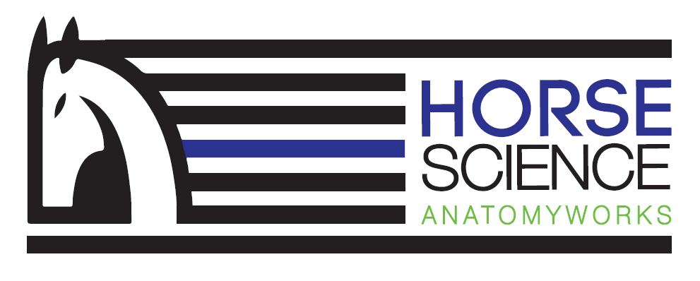 HSAw Banner logo (2).png