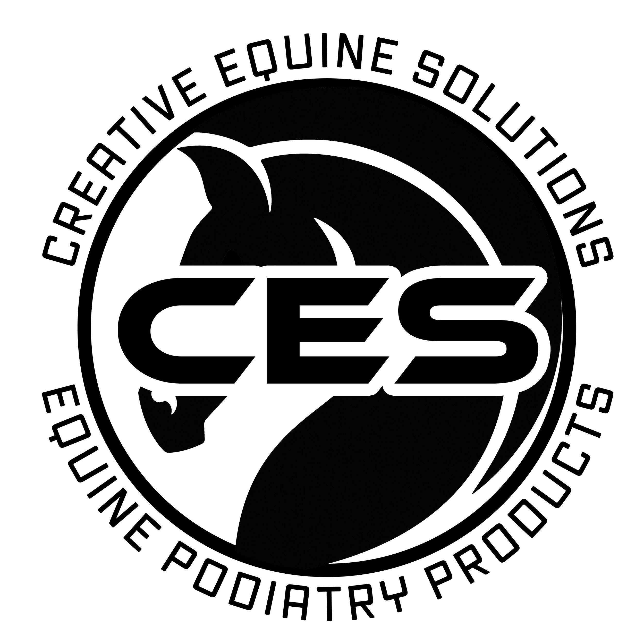 CES Logo White MASTER word around jpg.jpg