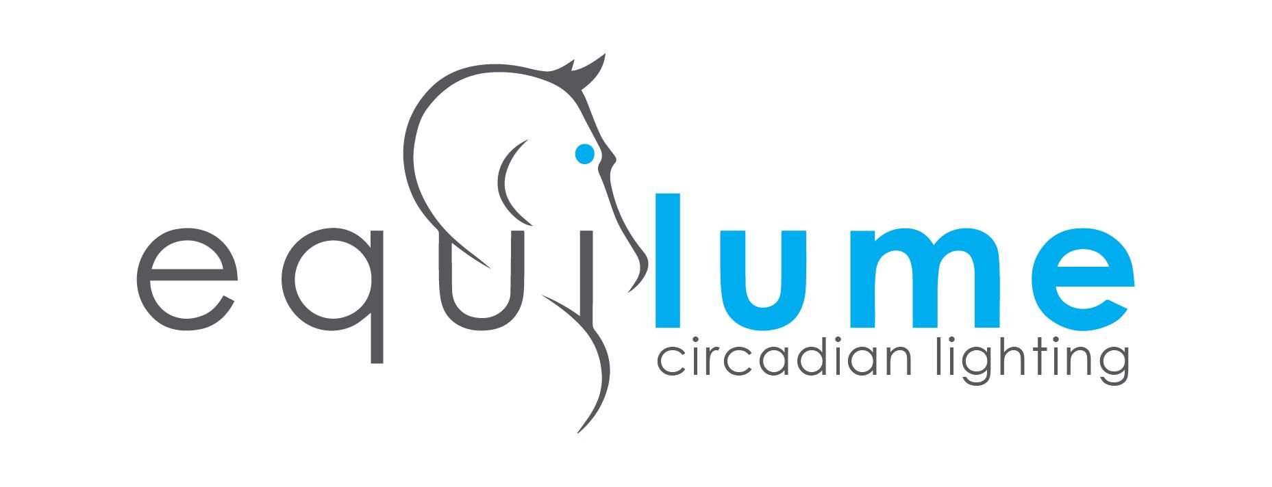 Circadian Lighting Logo Gray and Cyan.jpg