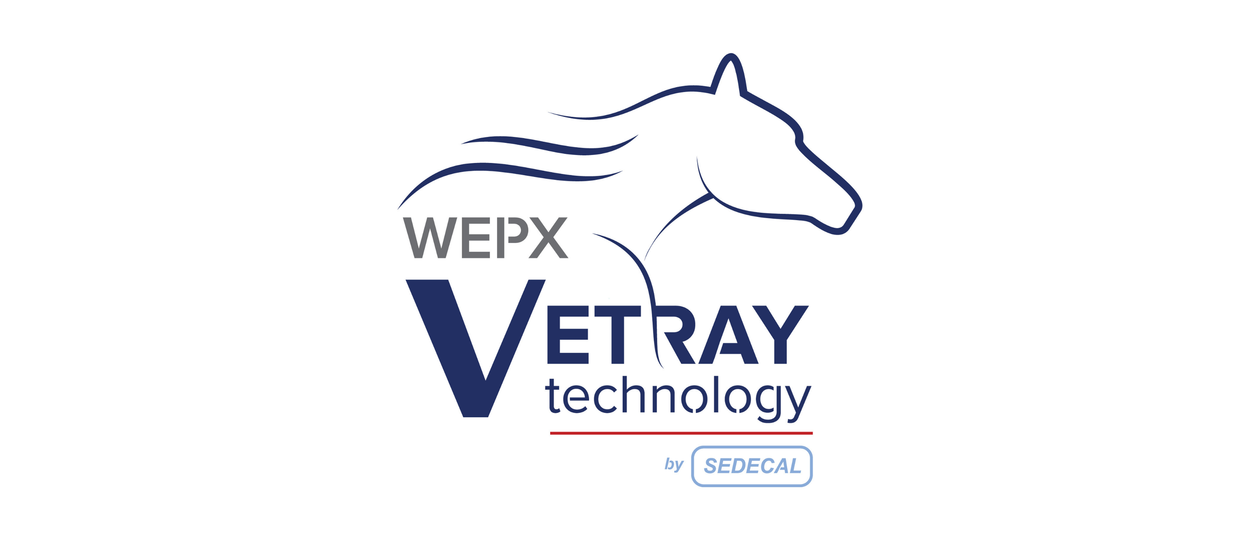 VetRay.png