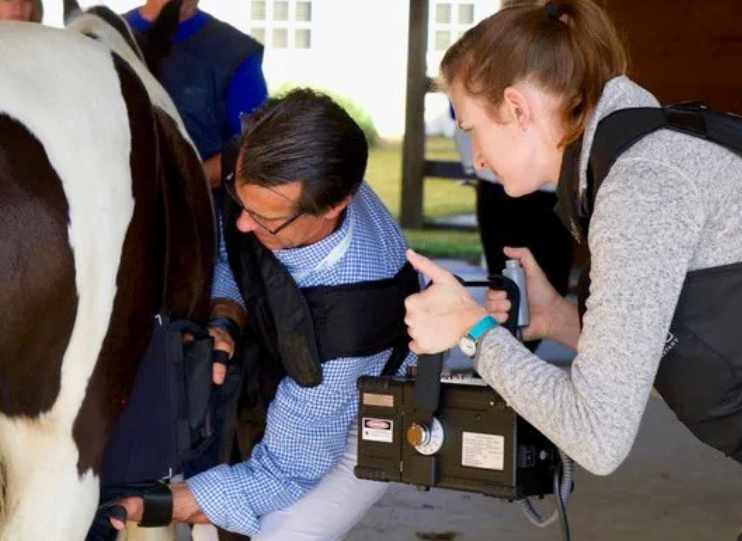 Three women, dressed casually, are examining and interacting with a horse, possibly at a stable or equine facility.