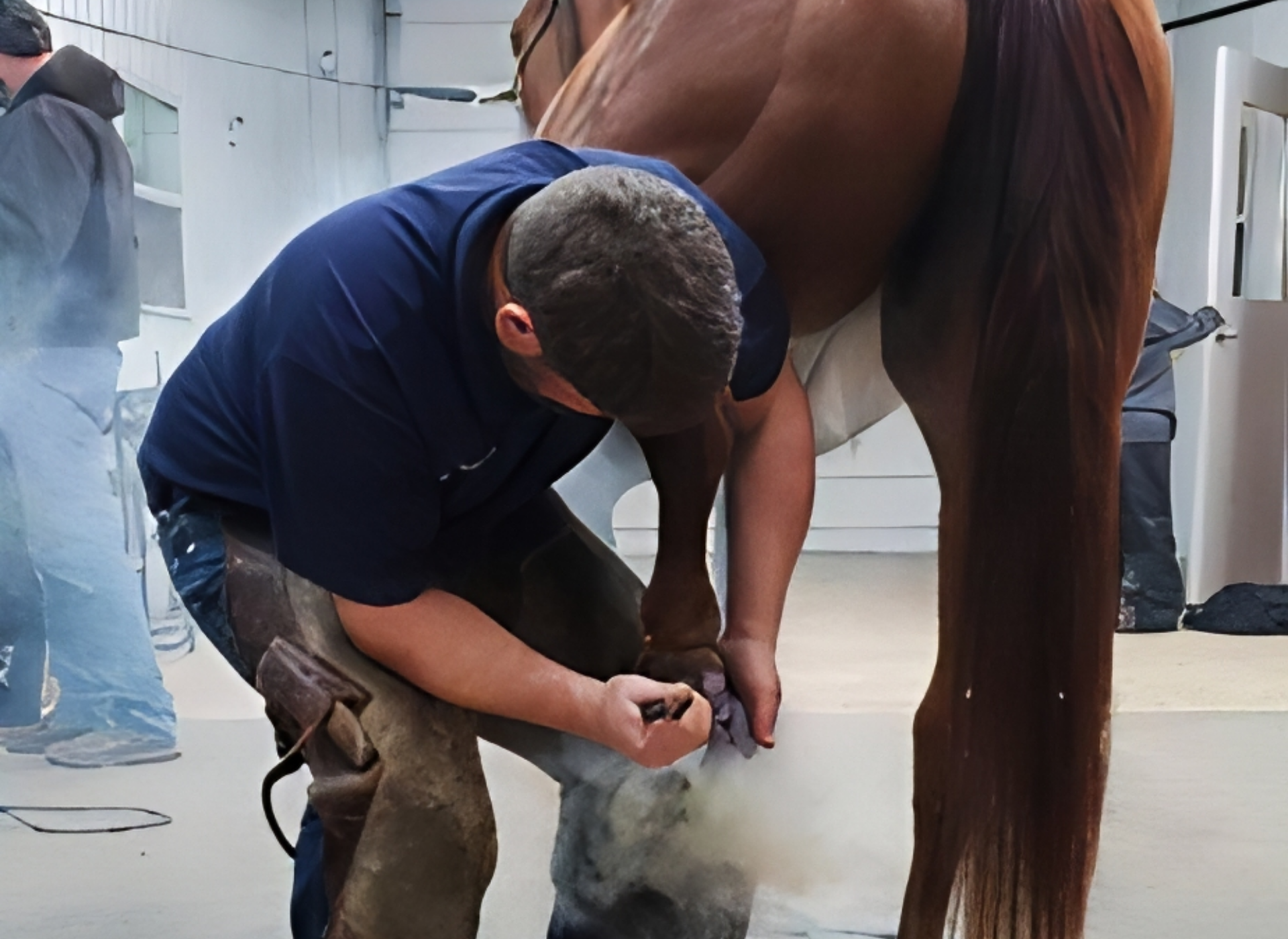 A veterinarian in scrubs checking a horse's hoof while the horse stands on a stable floor.
