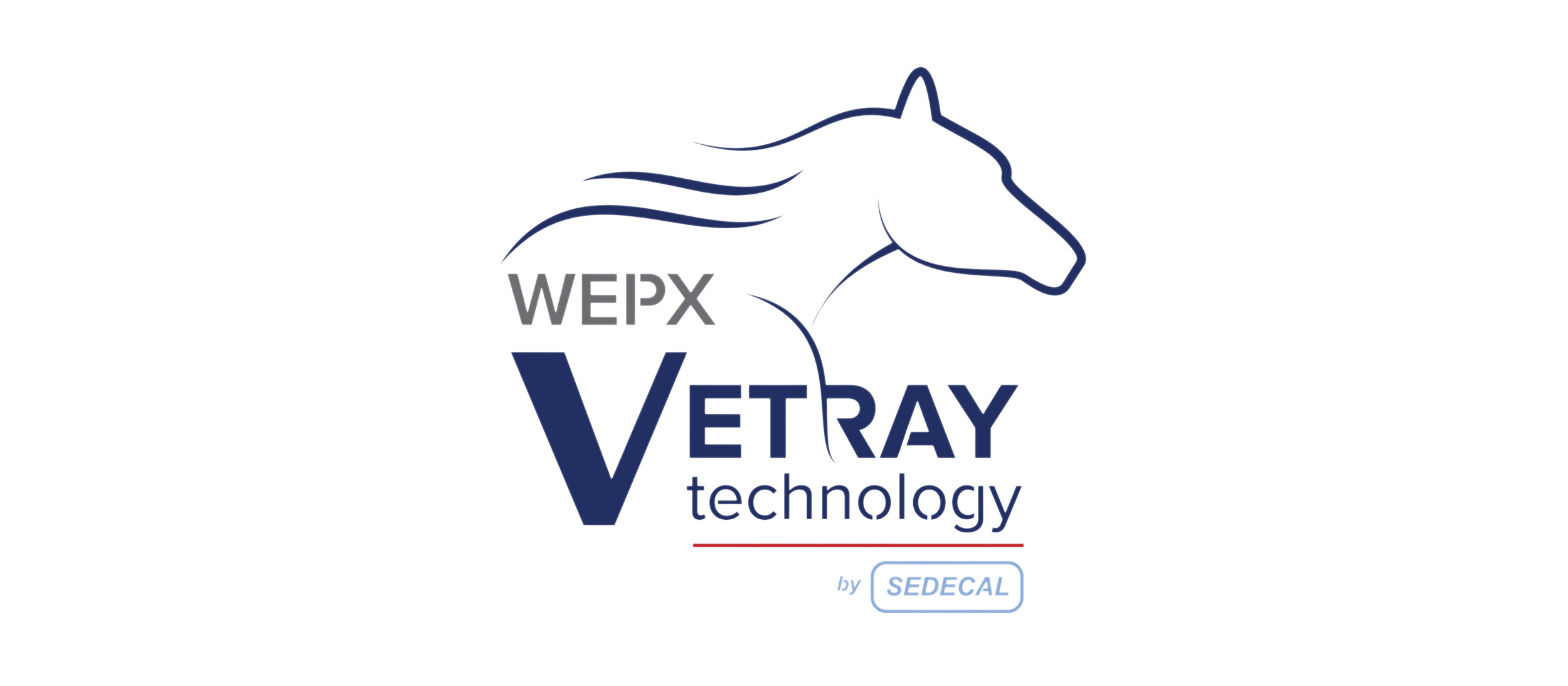 Logo of VetRay technology featuring a stylized outline of a horse in blue, with 'VetRay' written in bold blue letters and 'technology' below it. The logo also includes the text 'by SEDECAL' at the bottom.