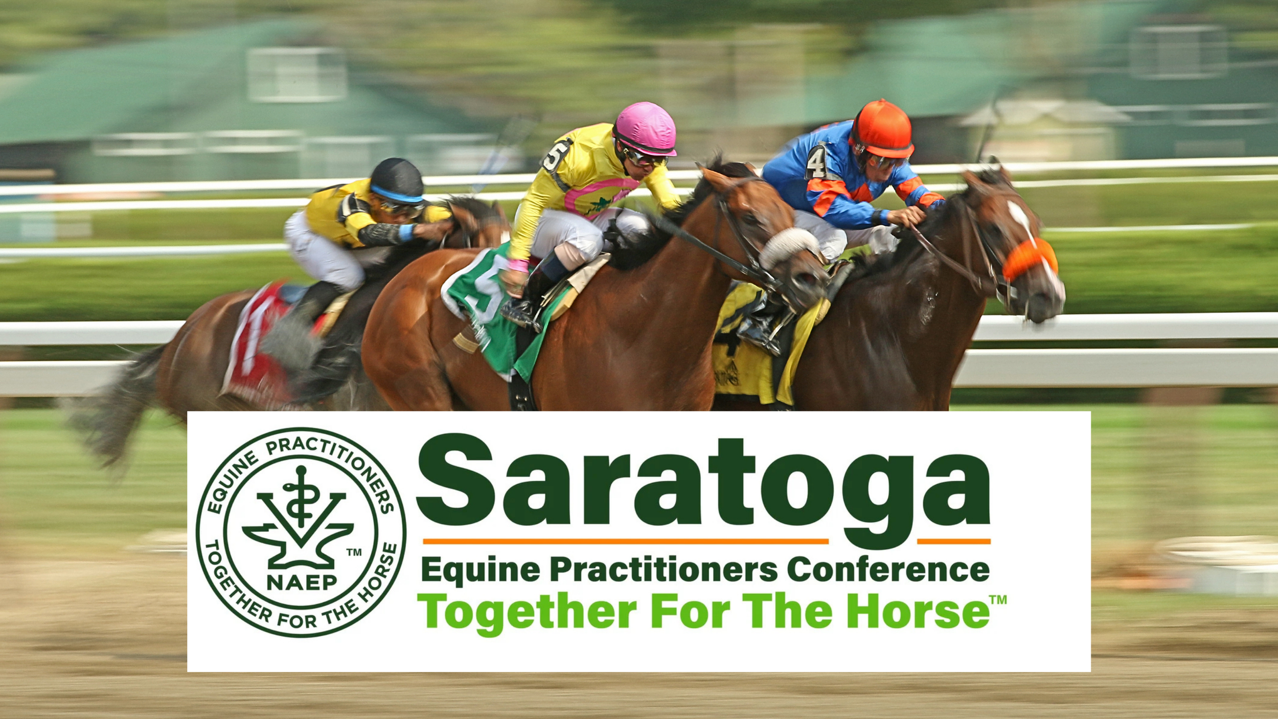 Three racehorses and jockeys competing in a horse race on a racetrack, with a banner at the bottom promoting the Saratoga Equine Practitioners Conference.
