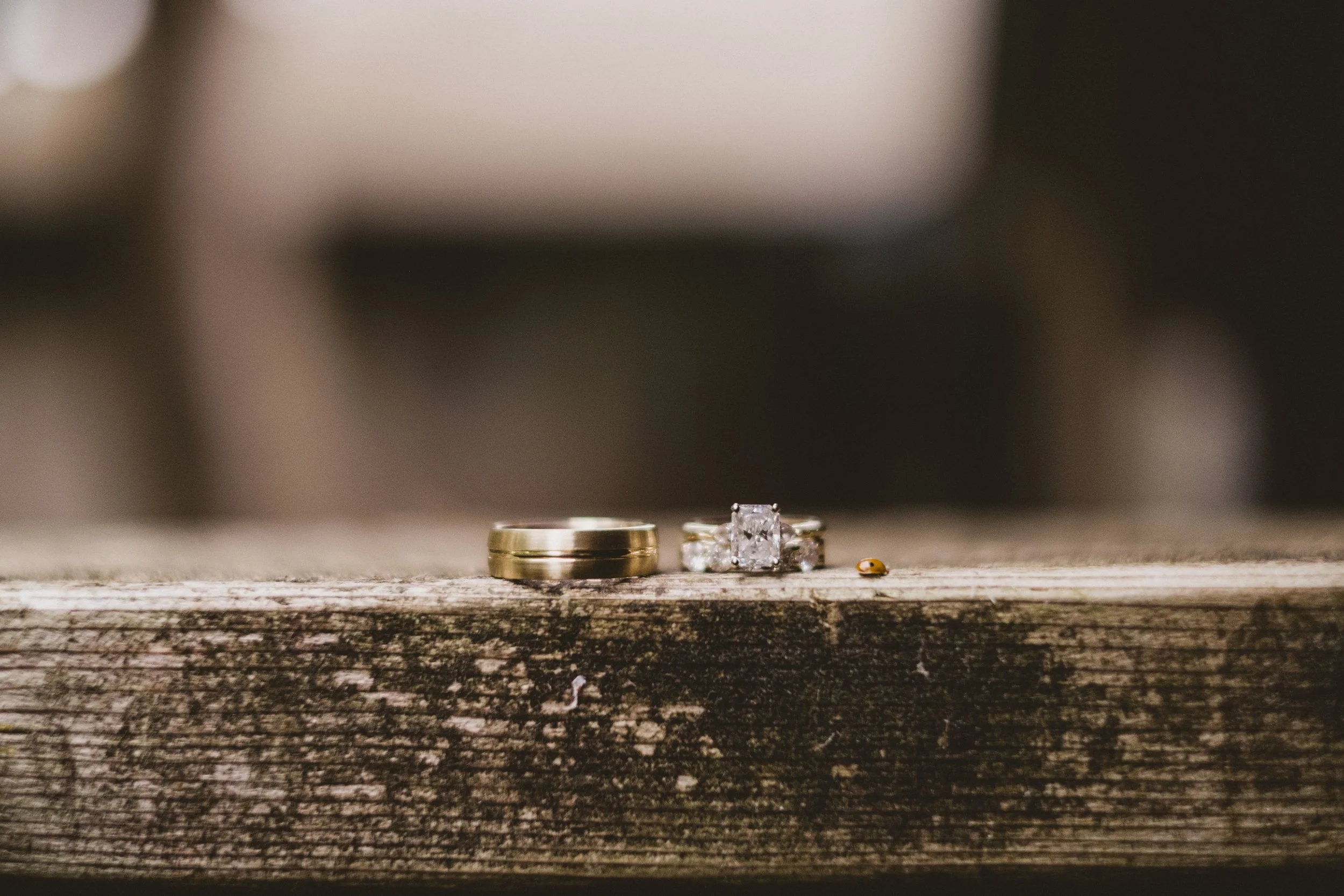 Jess and Julia wedding final-388.jpg