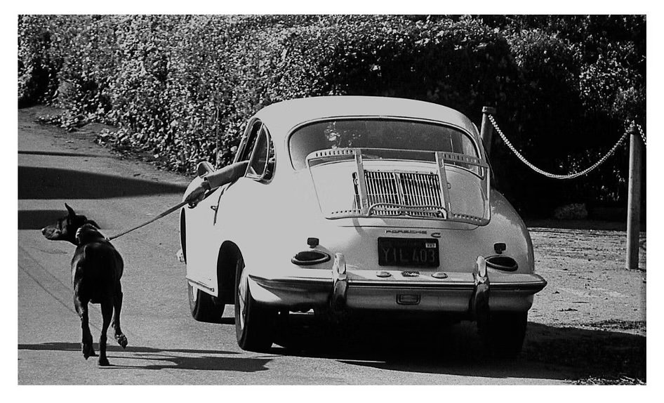 Mark Chester Photographs