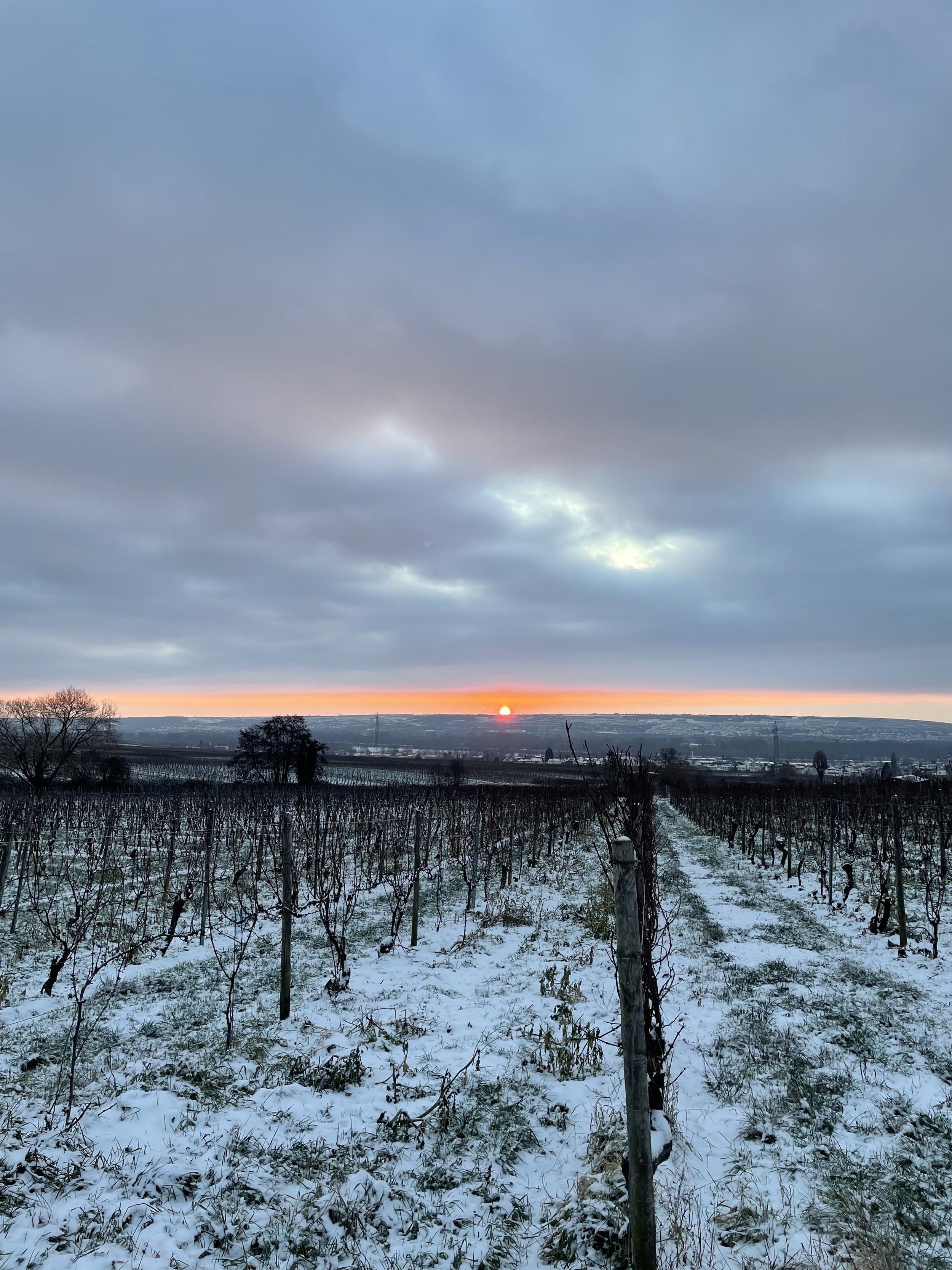 Winterlicher Weinverkauf