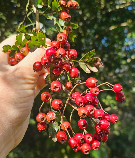 lessons as samhradh ends