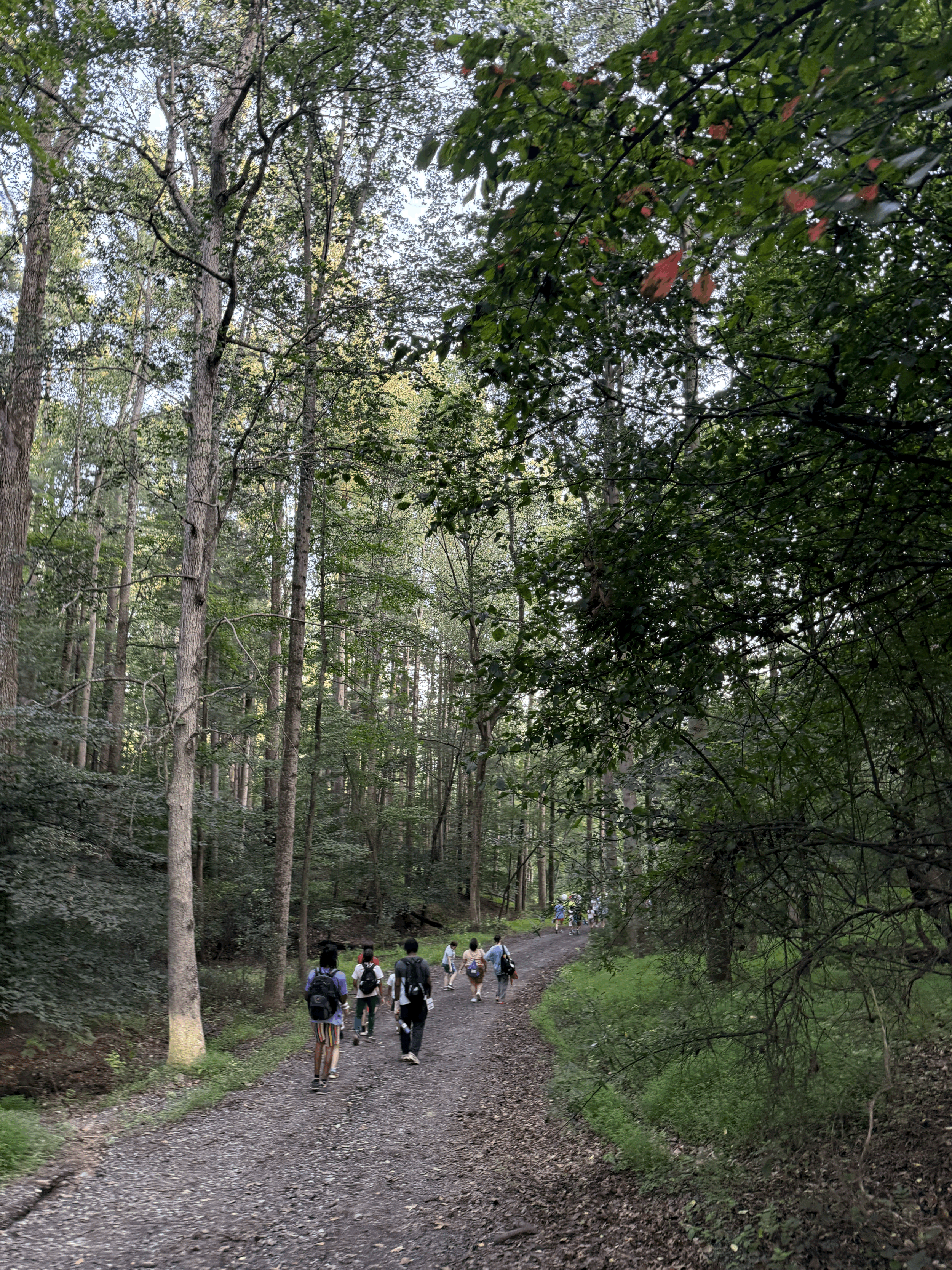 2026 Camp Info Session 2