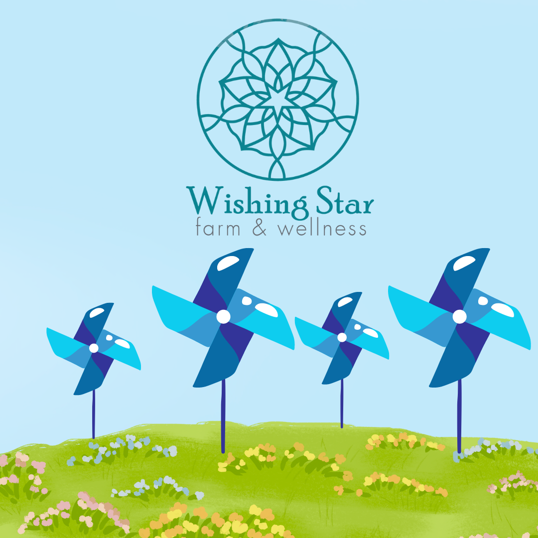 Pinwheels for Prevention Sponsorship — Camp Opportunity