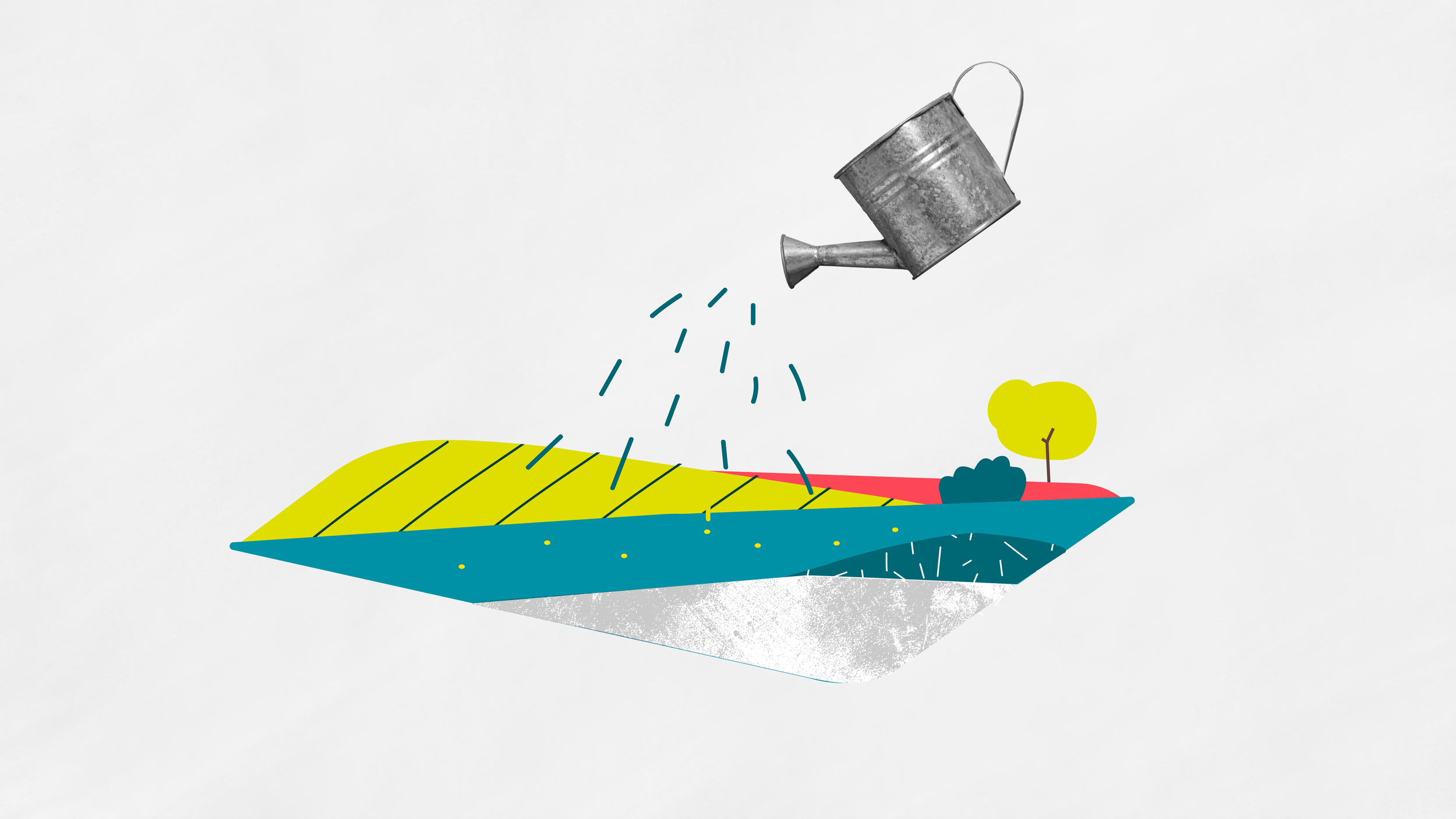 L214 - illustration terre agricole arrosée par Capucine Bertin