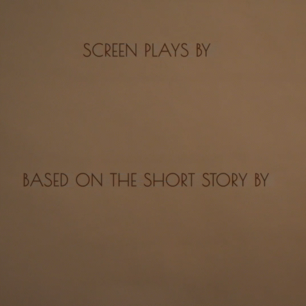 Générique Rear window, ombre fenêtre - capucine bertin