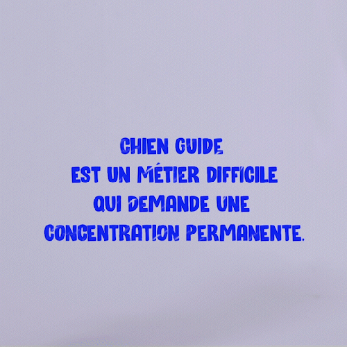 Stop motion, texture typographique