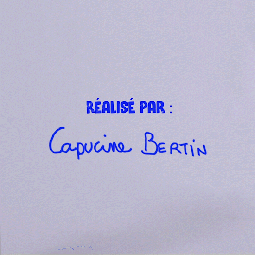 Stop motion, titre typo