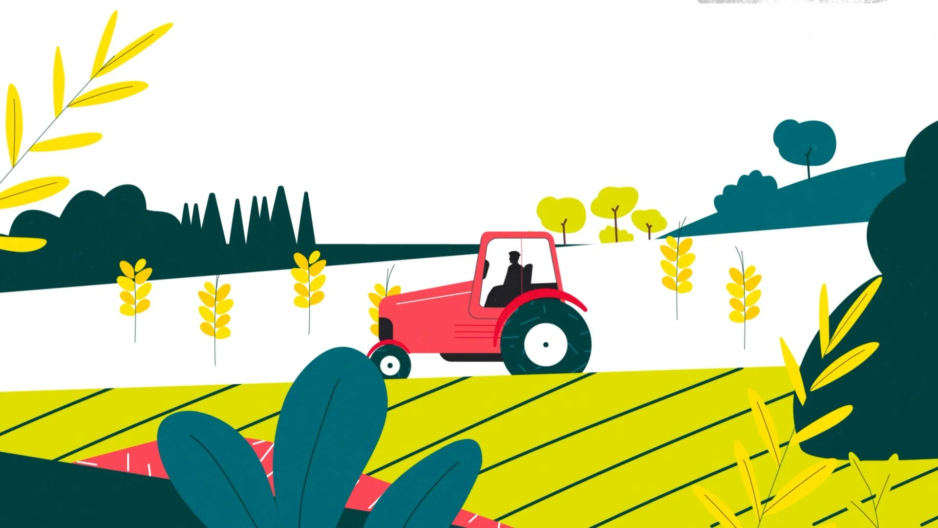 L214 - illustration tracteur - Capucine Bertin