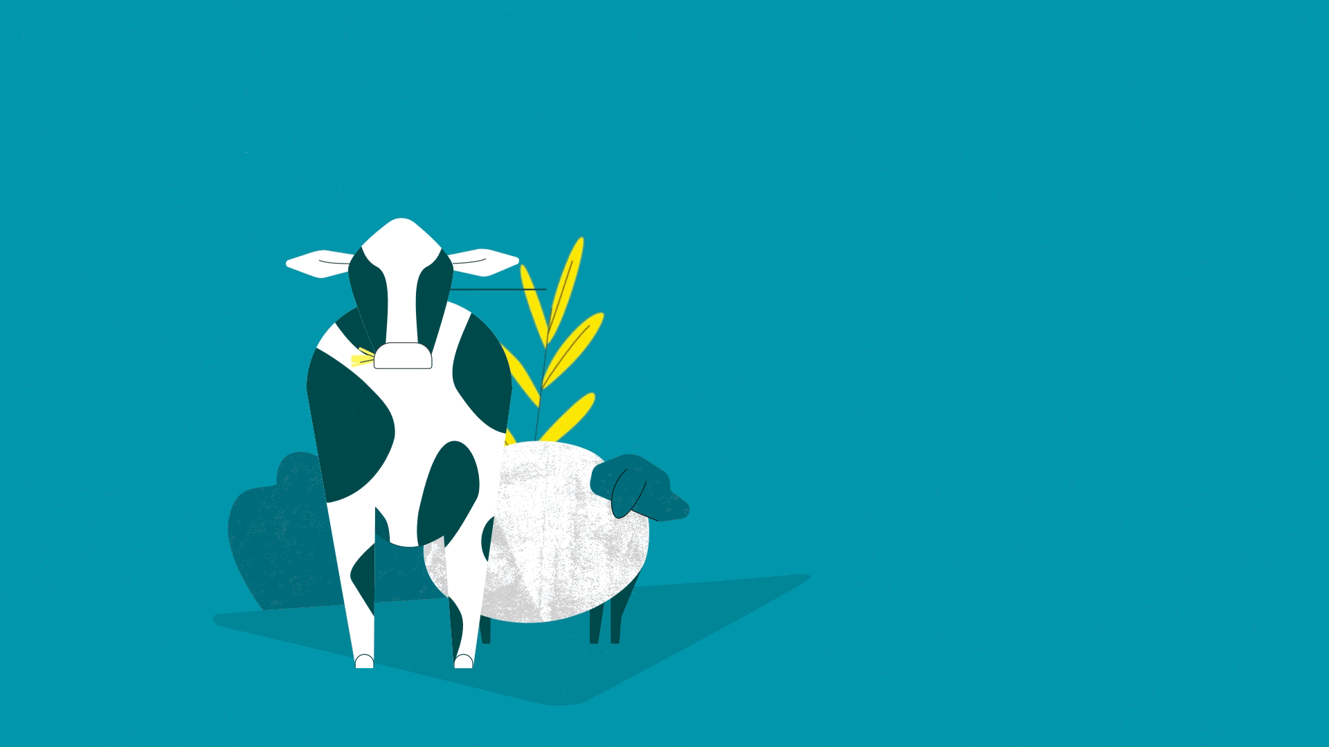 L214 - illustration vache méthane - Capucine Bertin