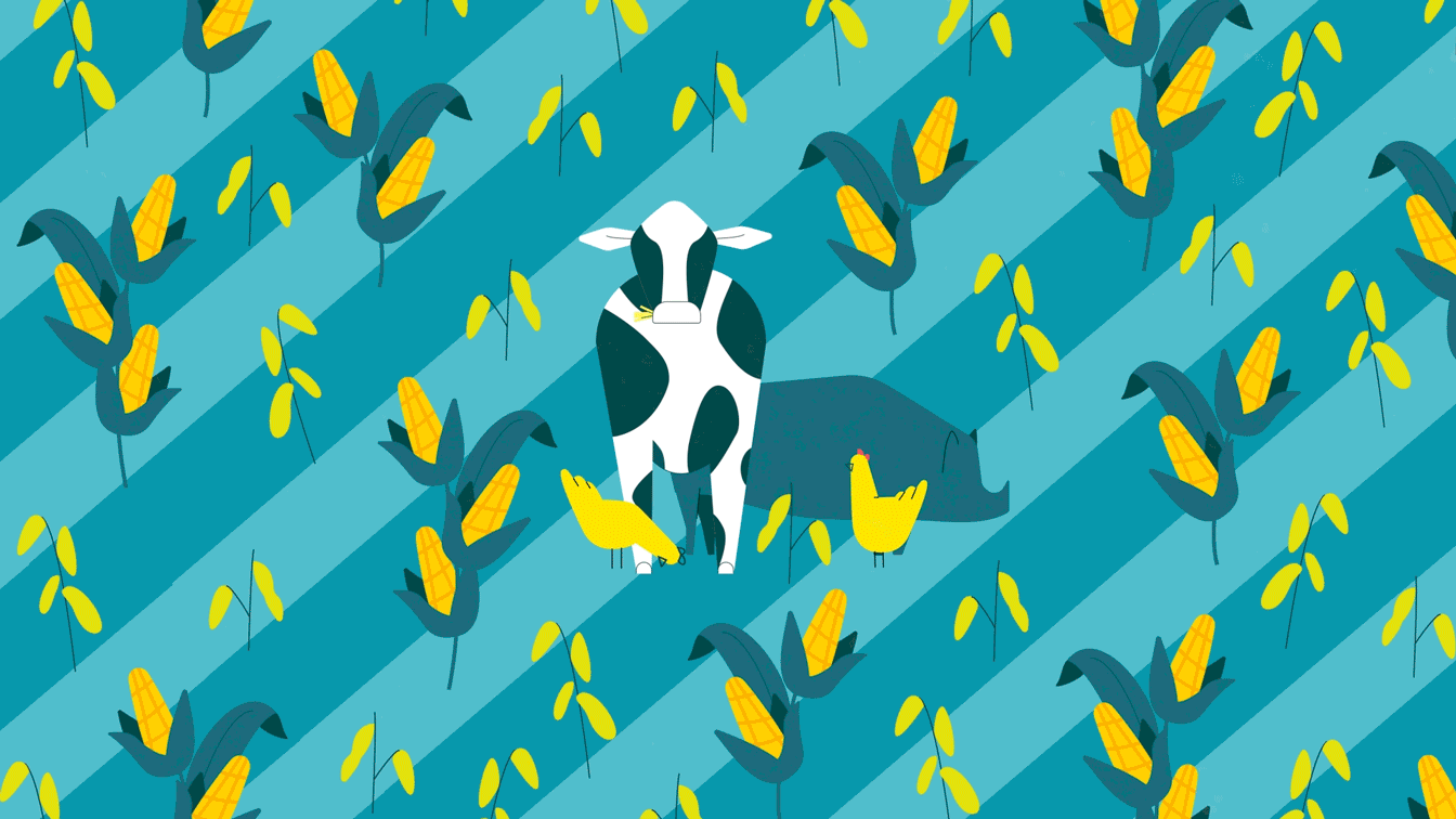 L214 - illustration usines et importation soja par Capucine Bertin