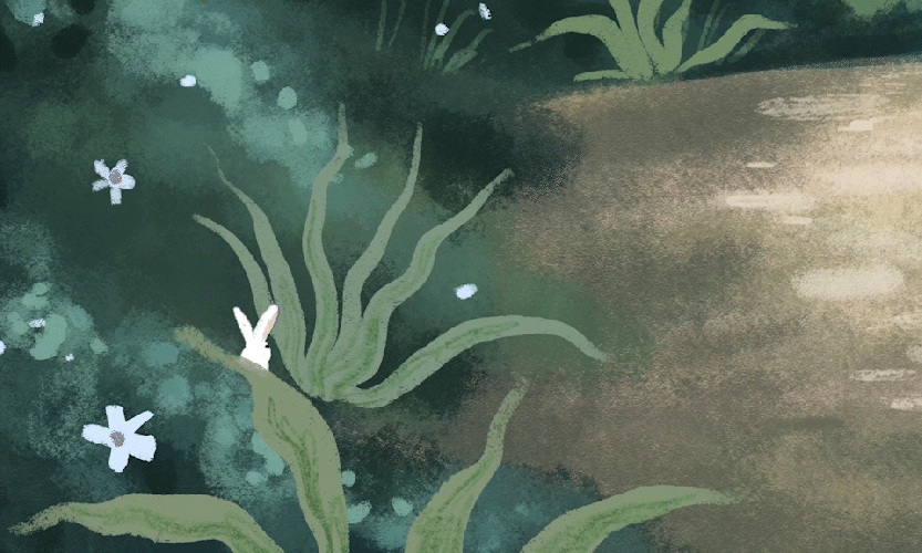 animation - lapin musique classique