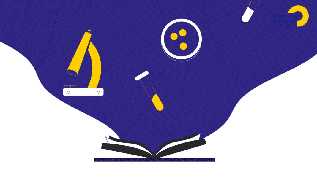 FRM - C'est quoi le cancer ? -ressources - réalisation Capucine Bertin