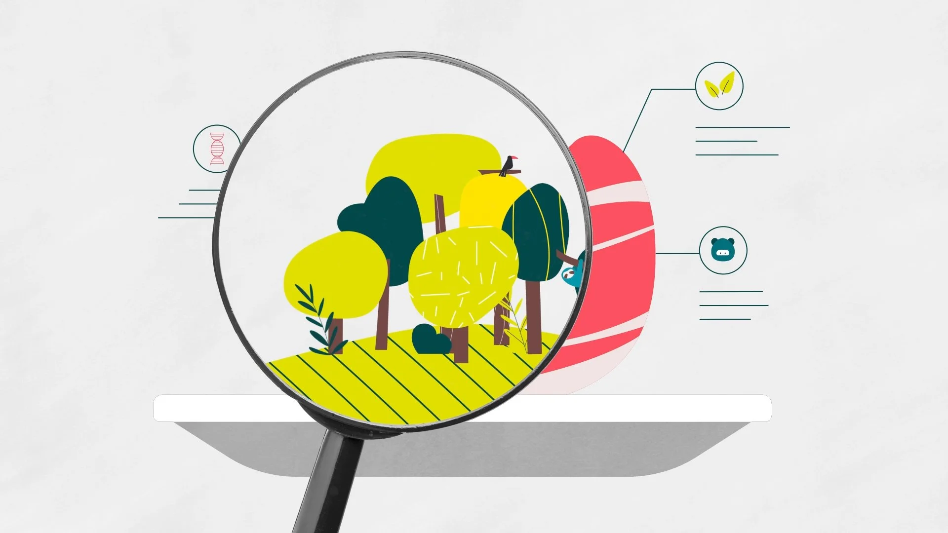 L214 - illustration écologie par Capucine Bertin