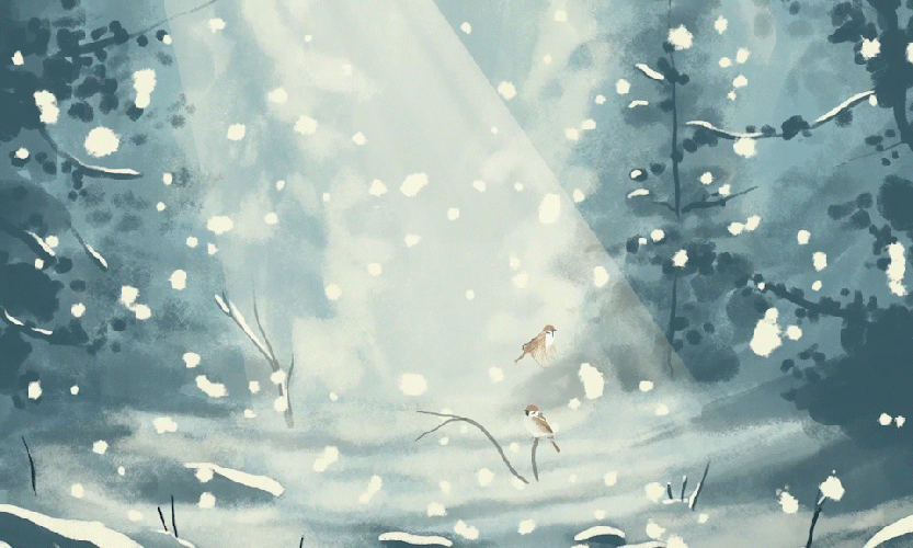 animation - neige oiseaux musique classique