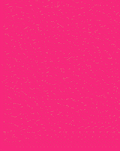 story insta fossil montres sacs