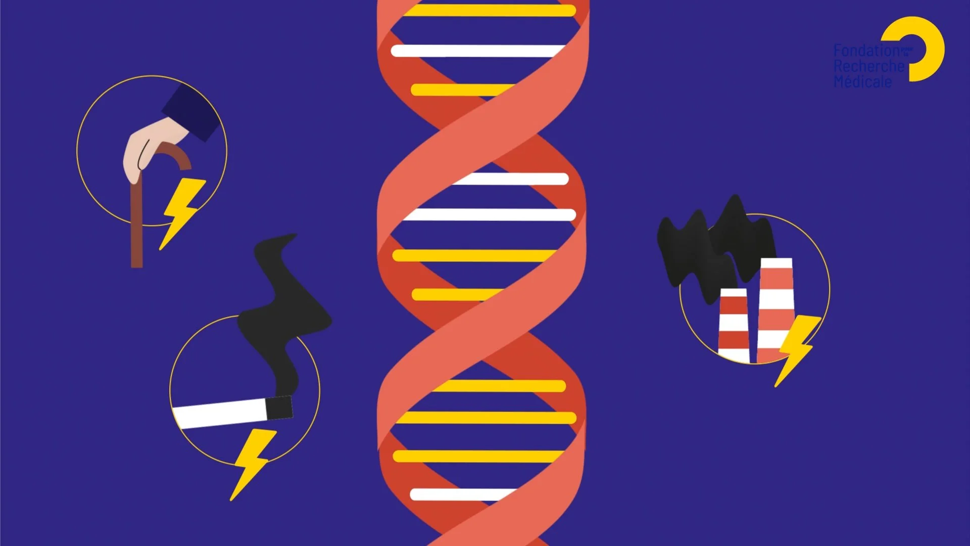 FRM - C'est quoi le cancer - illustration ADN