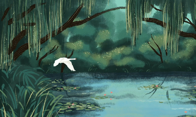 animation - Cigne musique classique