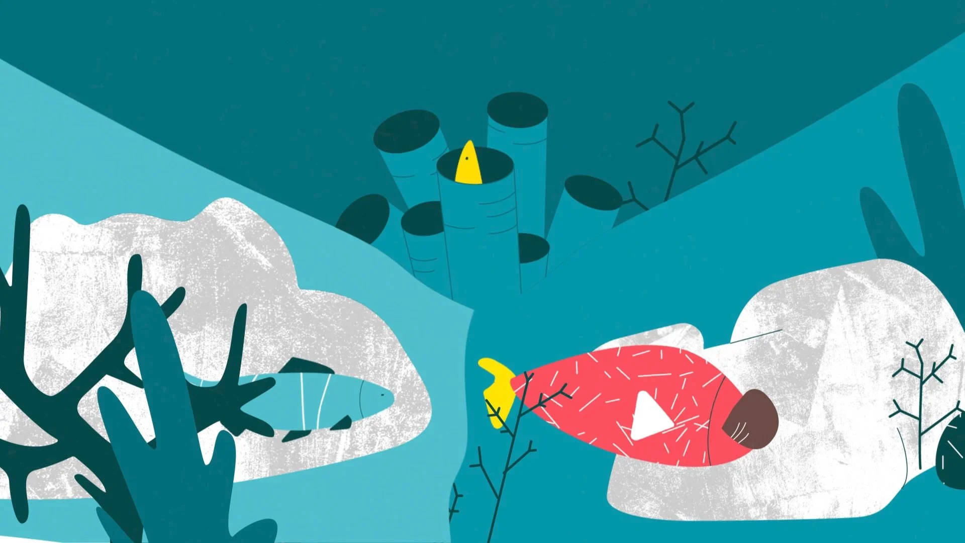 L214 - illustration outils animaux marins par Capucine Bertin