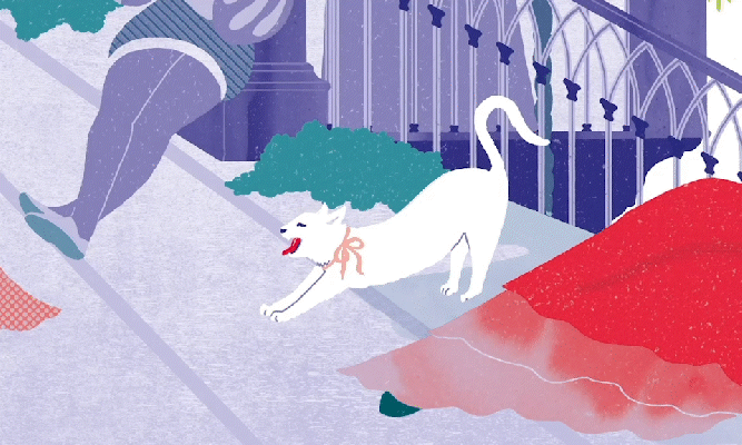 La belle aux bois dormant chat