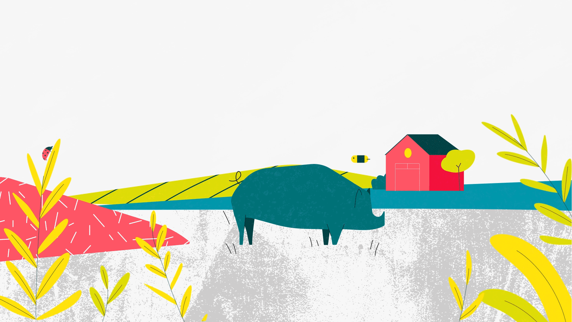 L214 - illustration pourcentage cochon en cage par Capucine Bertin