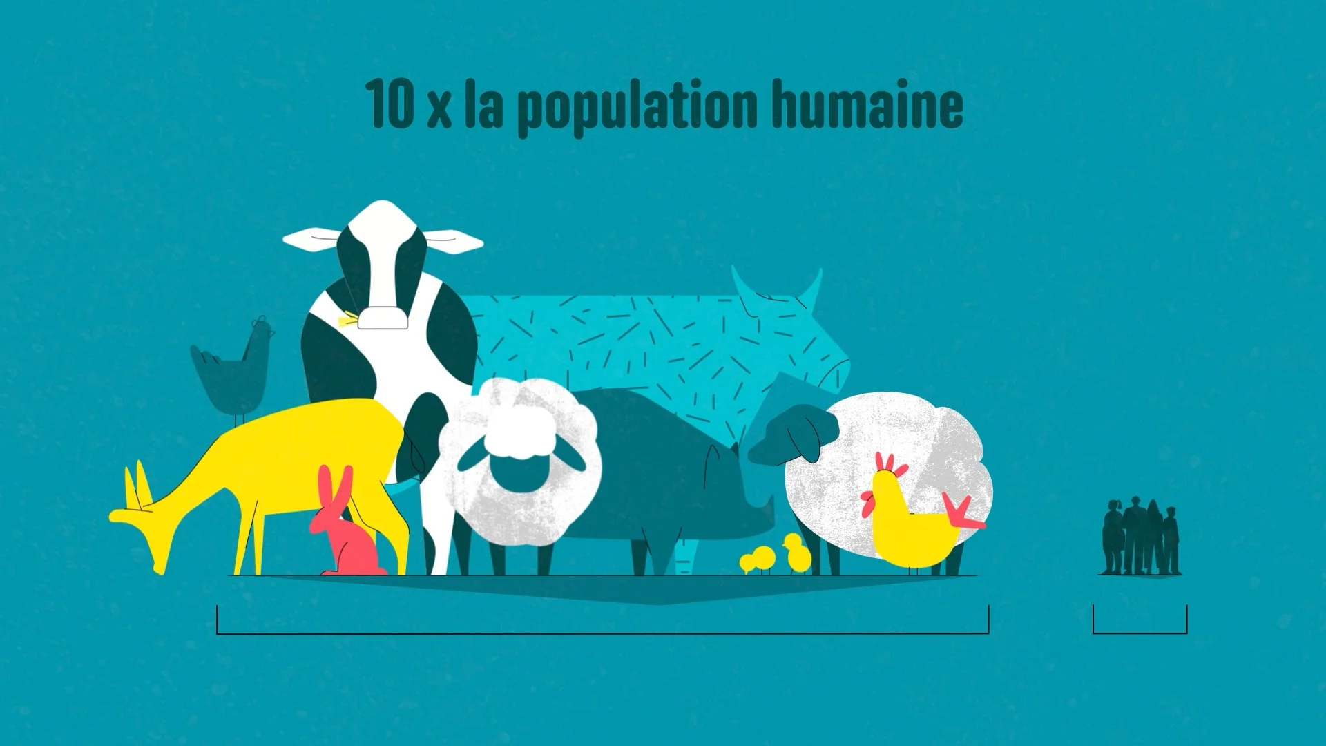 L214 - illustration animaux par Capucine Bertin