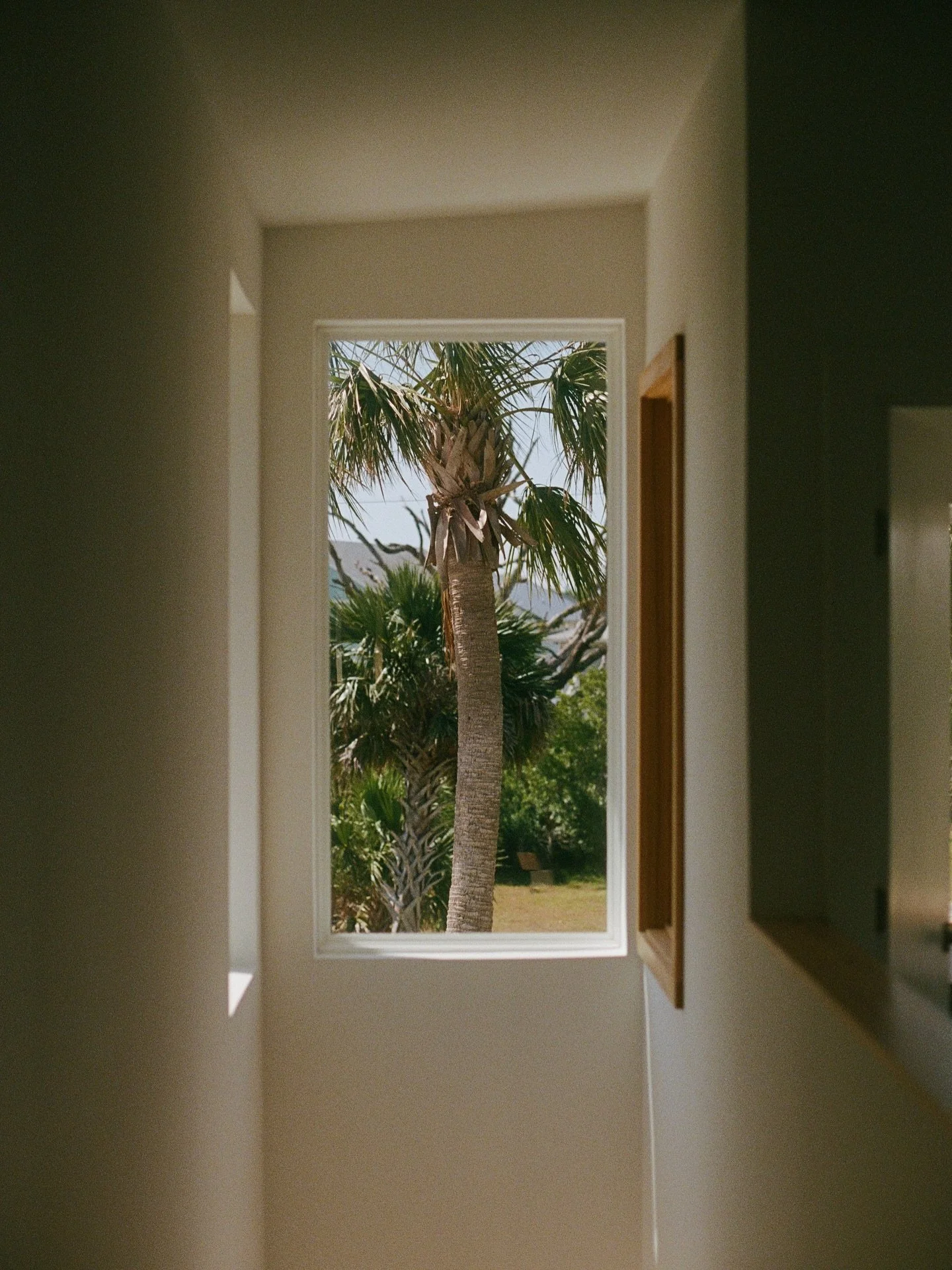 Florida views.