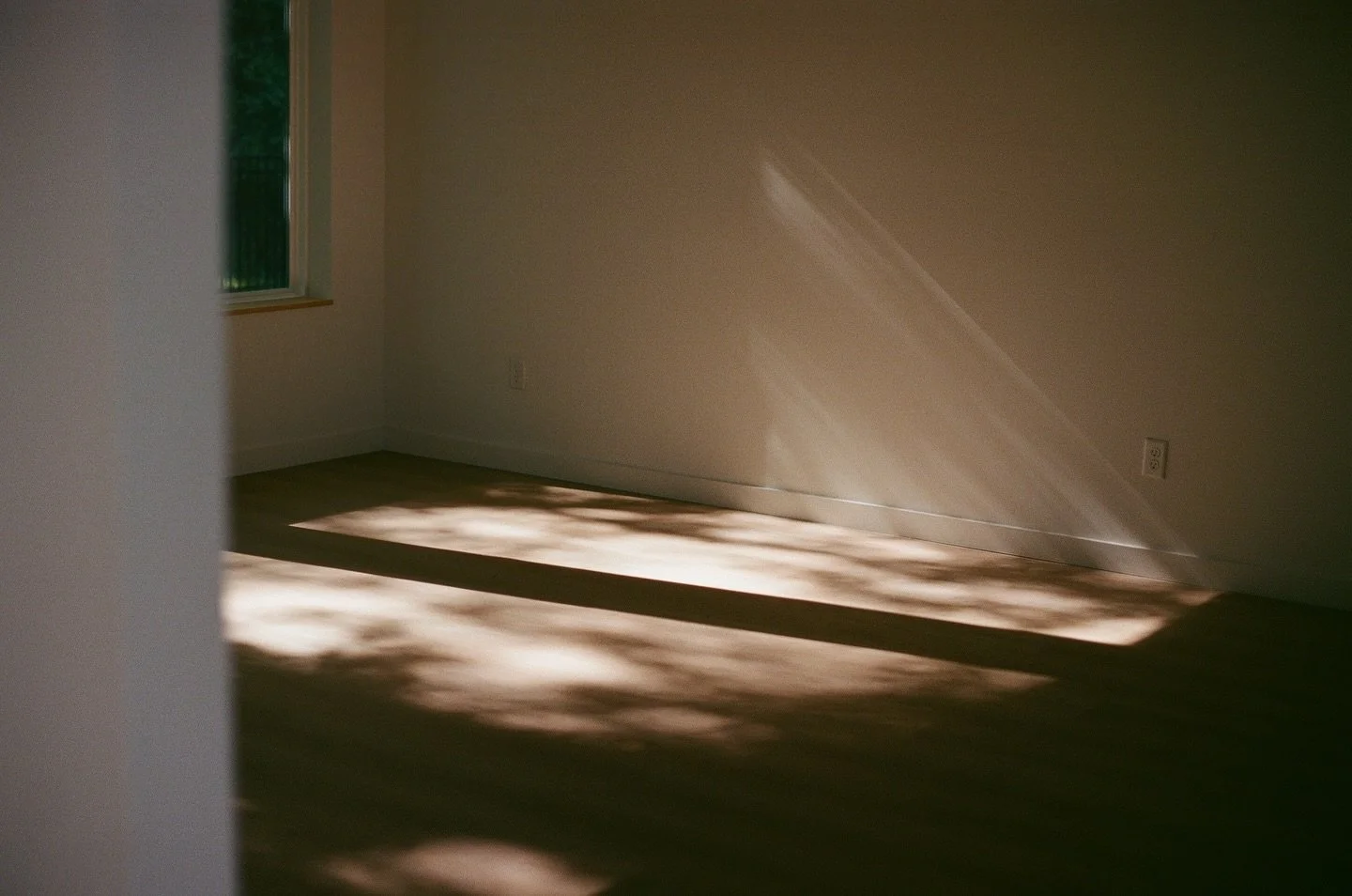 Evening light flooding in.