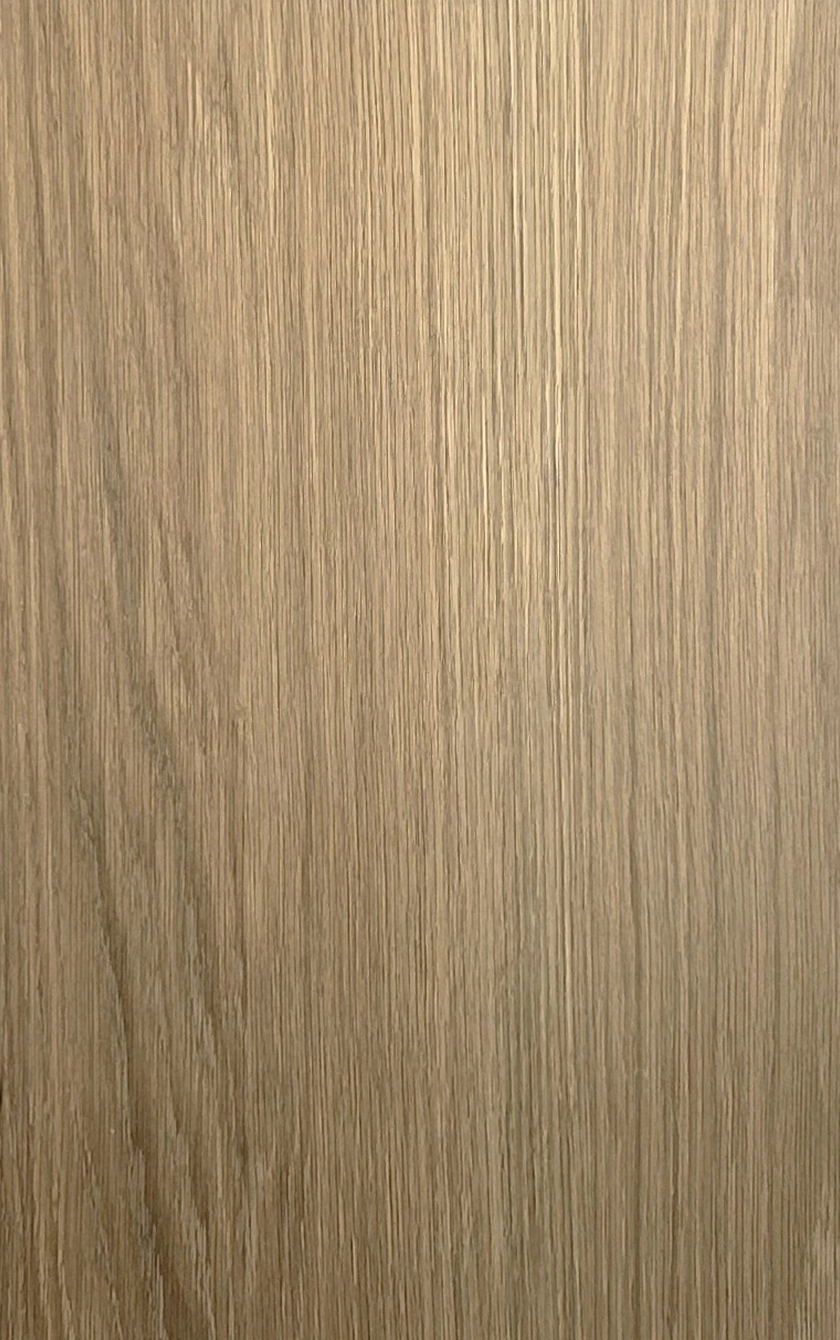 'Almond' White Oak | random-matched 