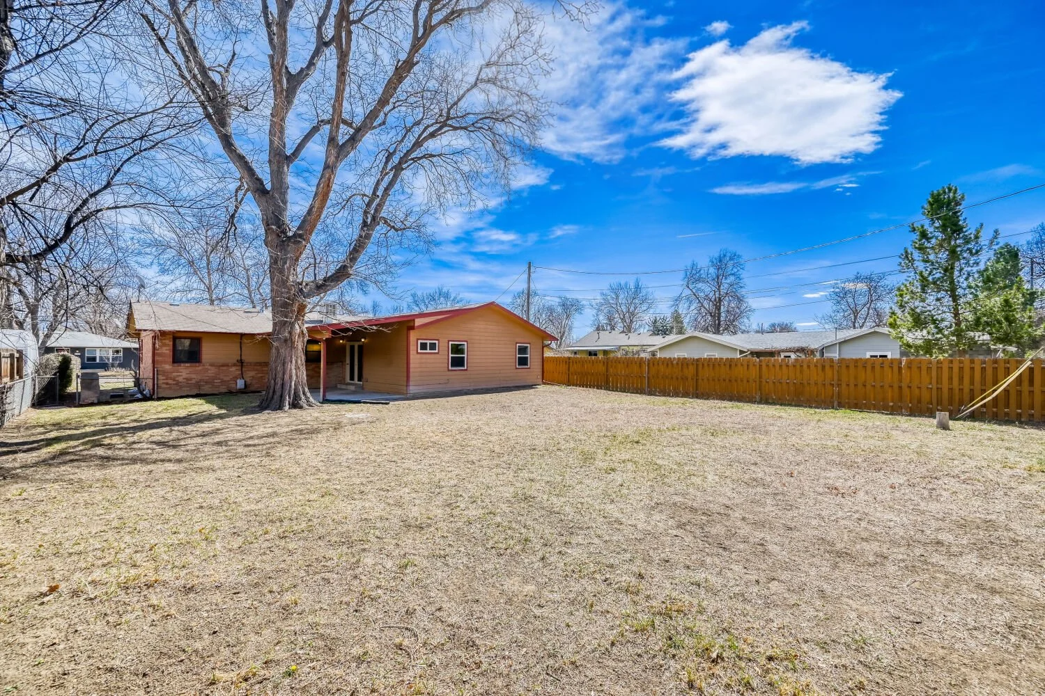 1117 Atwood St. backyard