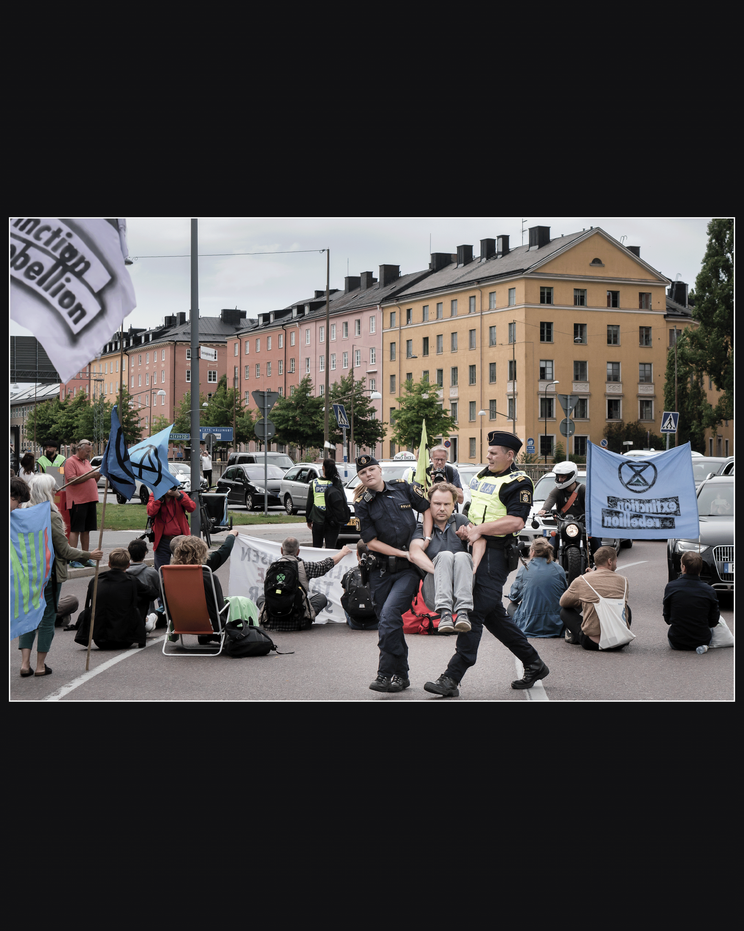 Demonstrant portfolio.png