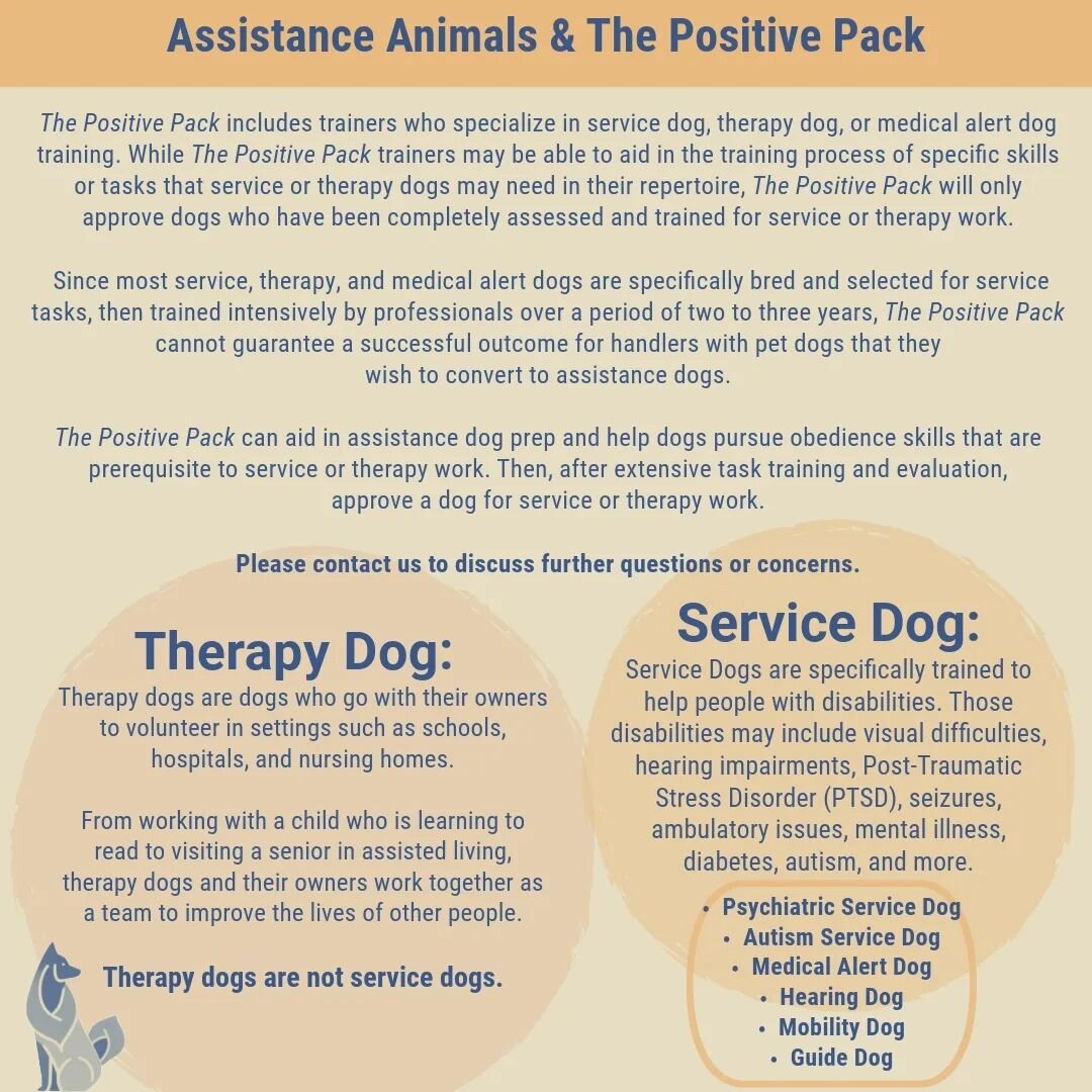 &amp; all that jazz ✨ Ask away if you're curious or serious!! 🐶

 #thepositivepackut #therapydog #servicedog #emotionalsupportanimal #whatsthedifference #slc #dogsofutah