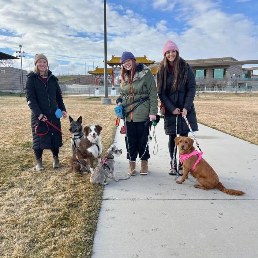 Went for a Cold Girl walk yesterday 🥶 🐶 It was so lovely the Sun came out to say hello so all our dogs could too! 

We have Lupa, Mars, Malta &amp; Nala 🥰

#dogsofutah #dogtrainer #dogtraining #packwalk #looseleashwalking #slc #whydidtabiscoatdoth
